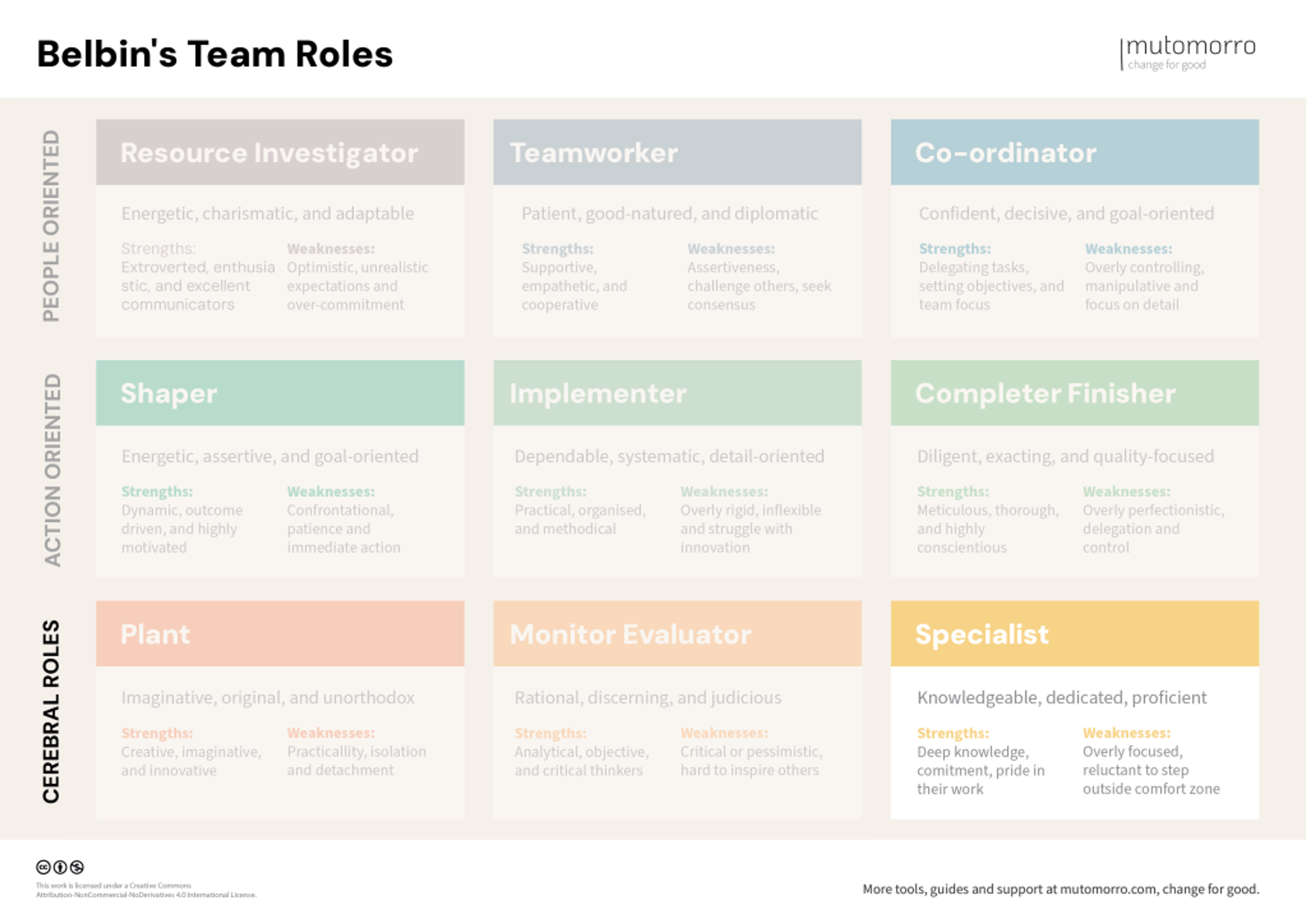 Belbin's Team Roles - Specialist