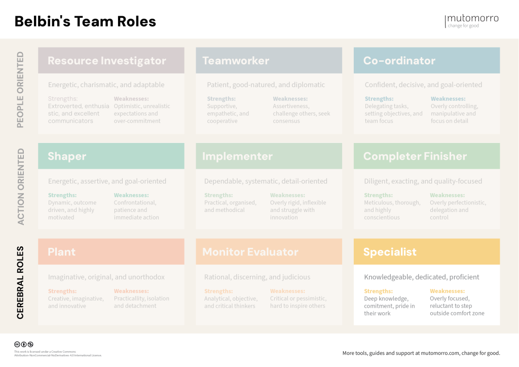 Belbin's Team Roles - Specialist