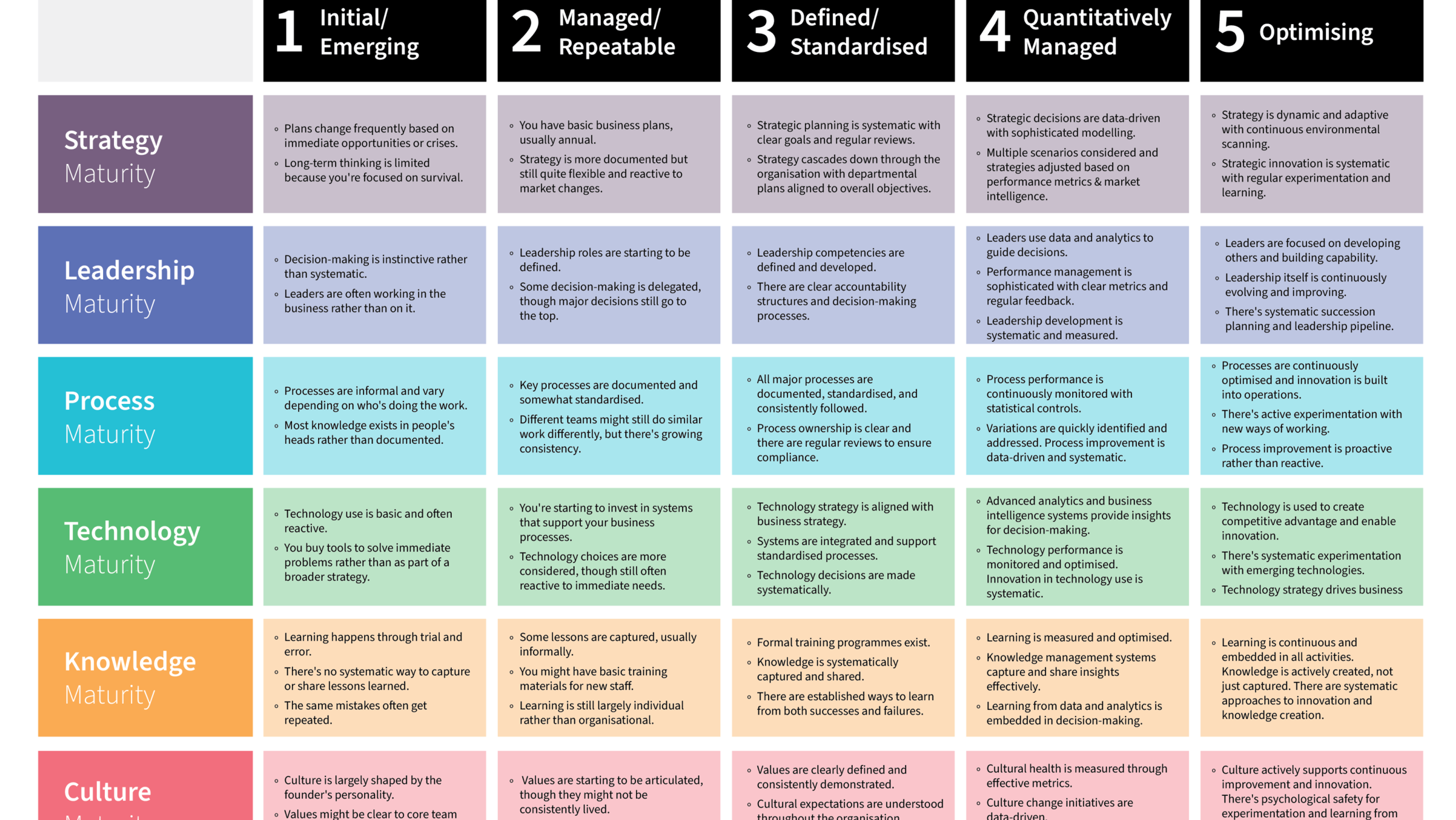 Organisational Maturity Model