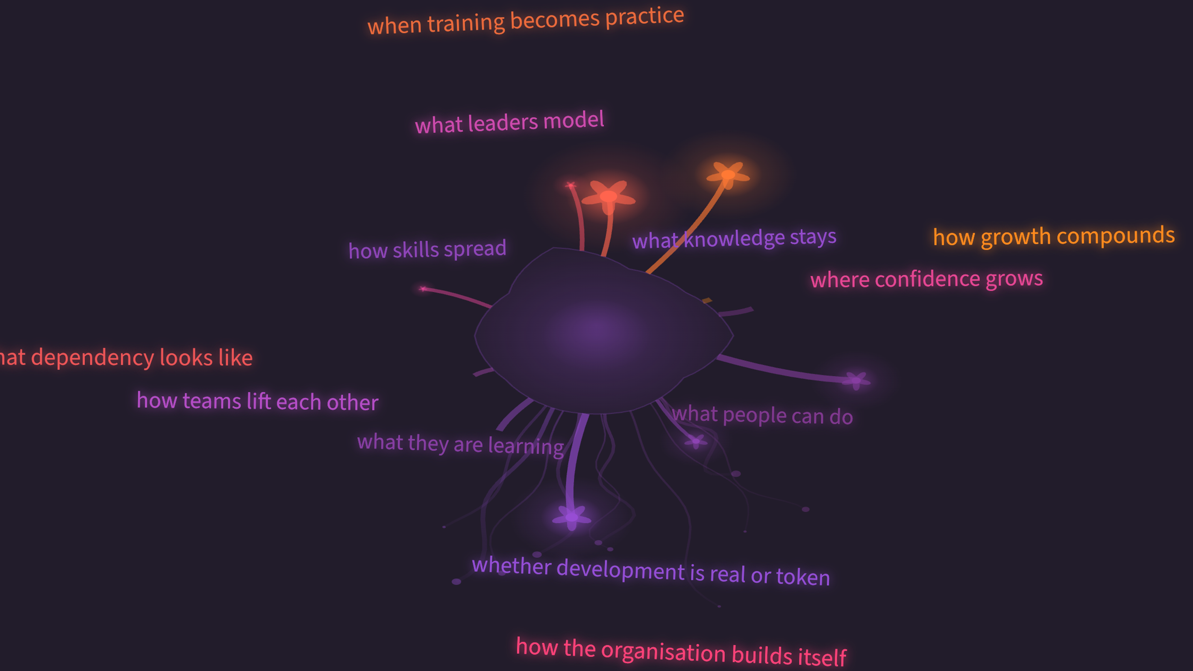 A central form sending out roots and budding shoots of light, representing growth and the building of organisational capacity.