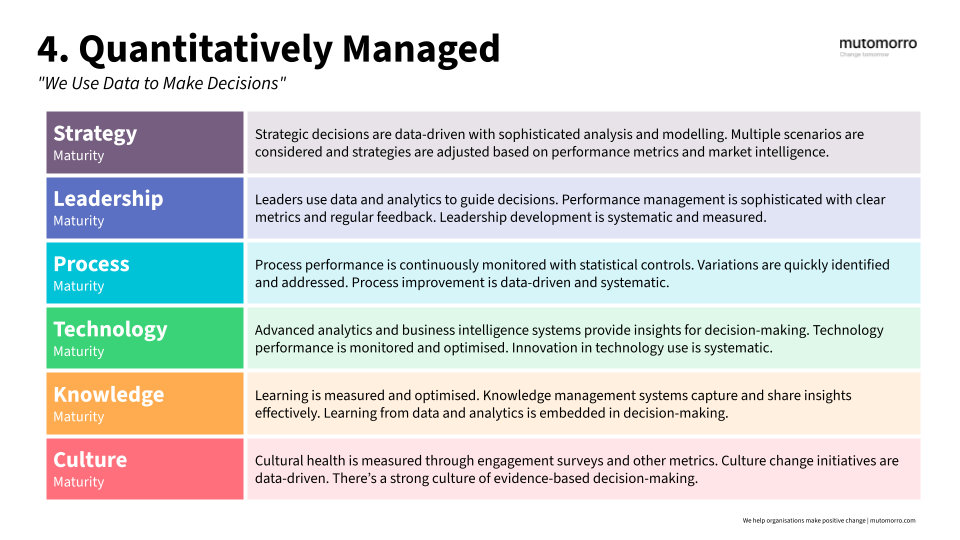 Organisational Maturity Model - 4. Quantitatively Managed Stage