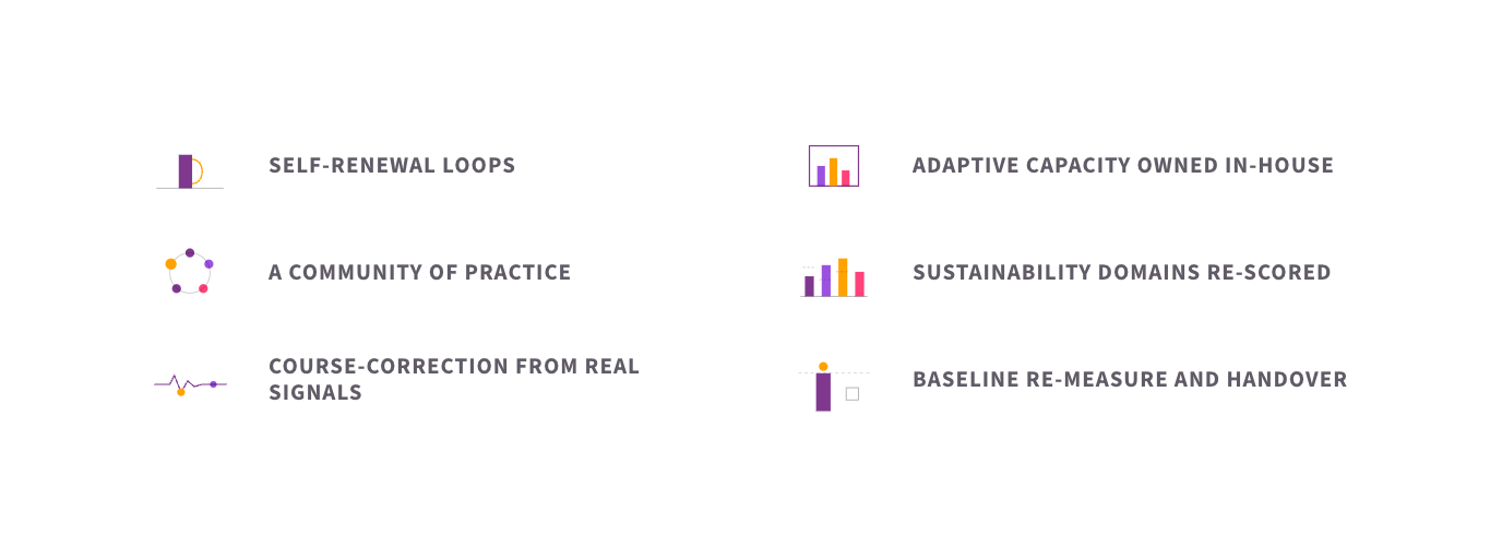 The six elements of sustaining your capacity: self-renewal loops, adaptive capacity owned in-house, a community of practice, sustainability domains re-scored, course-correction from real signals, and baseline re-measure and handover.