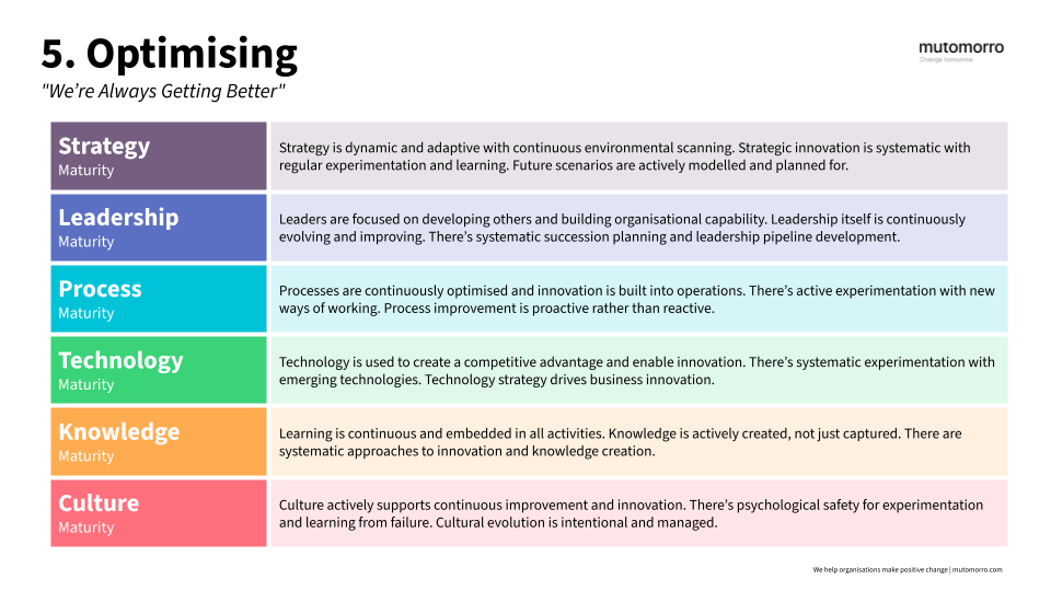 Organisational Maturity Model - 5. Optimising Stage