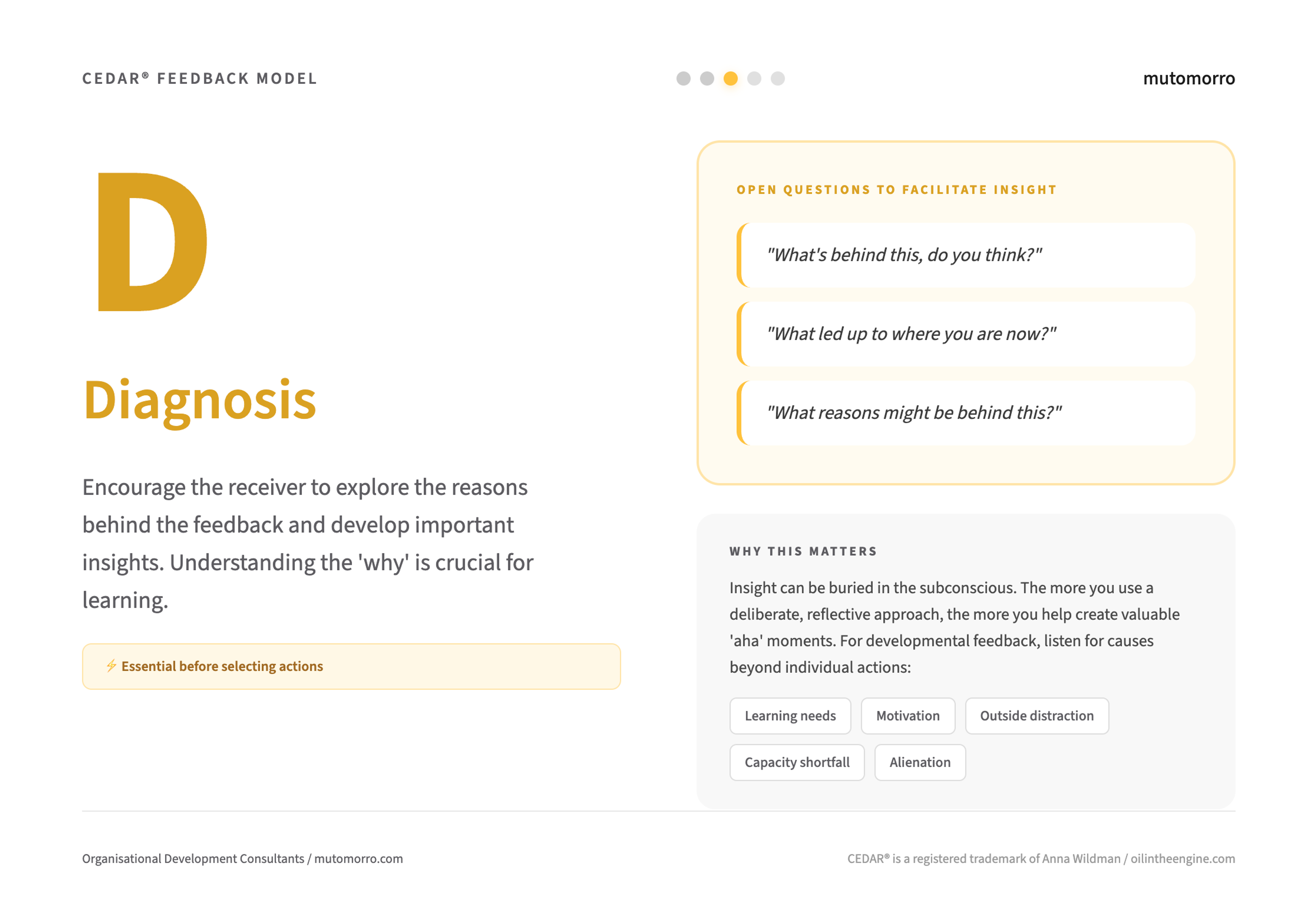 CEDAR Feedback Model - 3. Diagnosis - Mutomorro