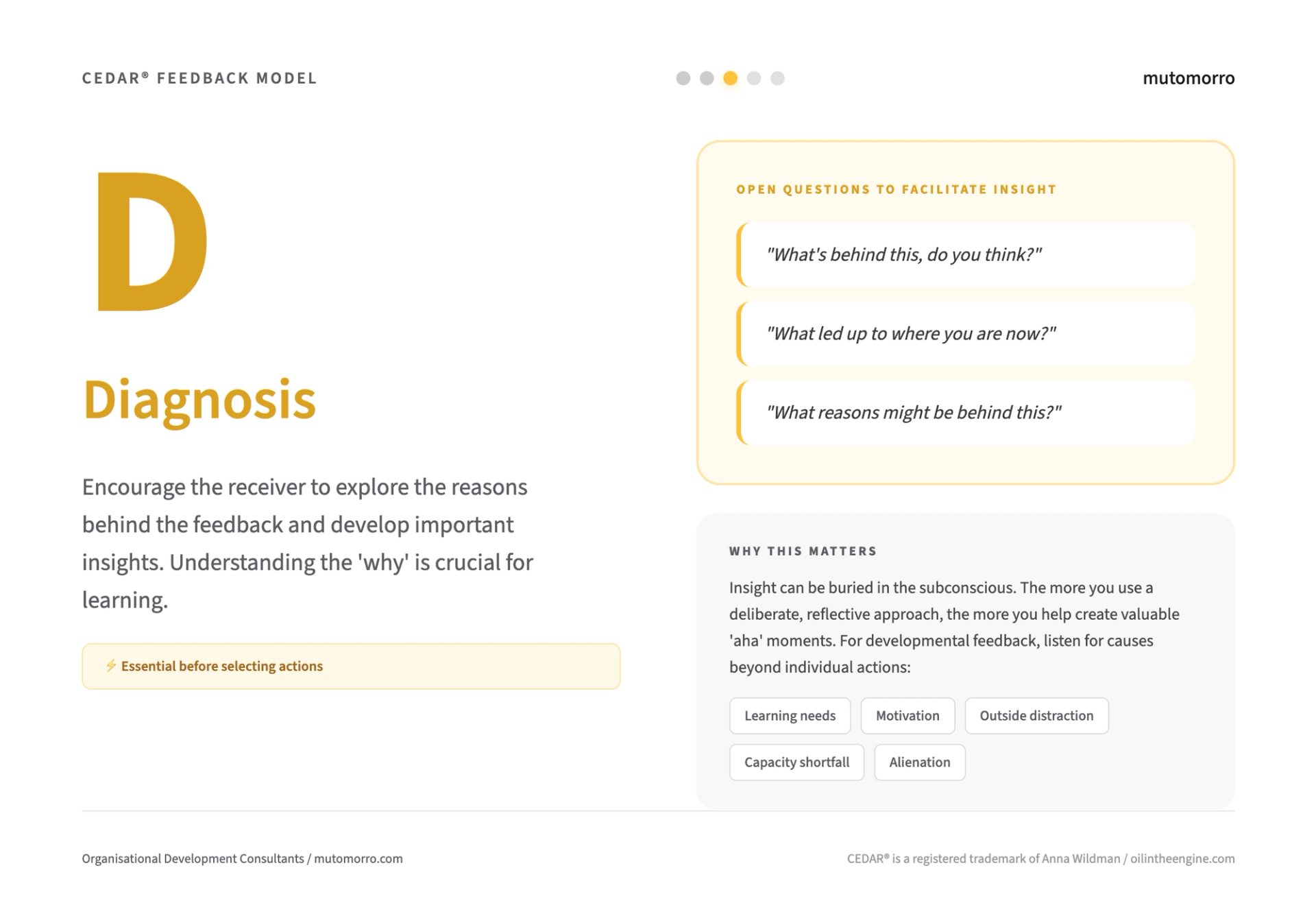 Cedar Report CEDAR Feedback Model - guide | Mutomorro