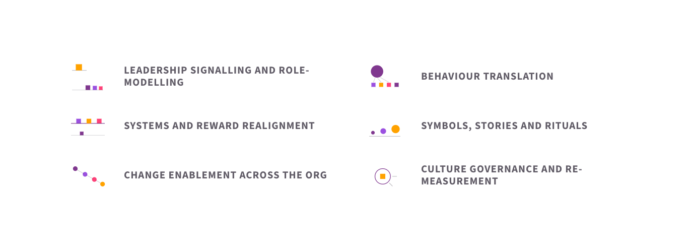 The six elements of culture change programmes: leadership signalling and role-modelling, behaviour translation, systems and reward realignment, symbols, stories and rituals, change enablement across the org, and culture governance and re-measurement.