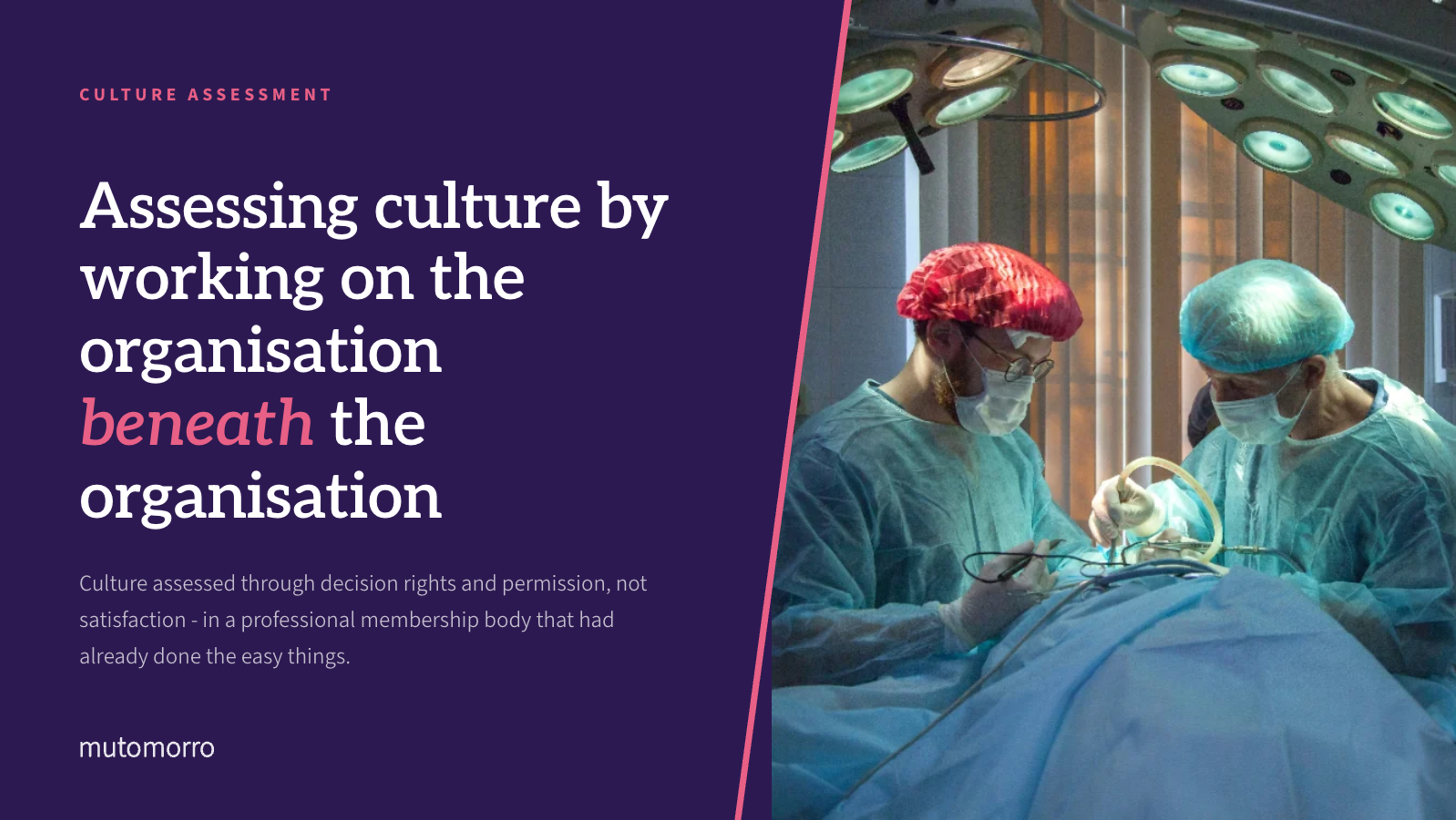 Culture assessment in a professional membership body