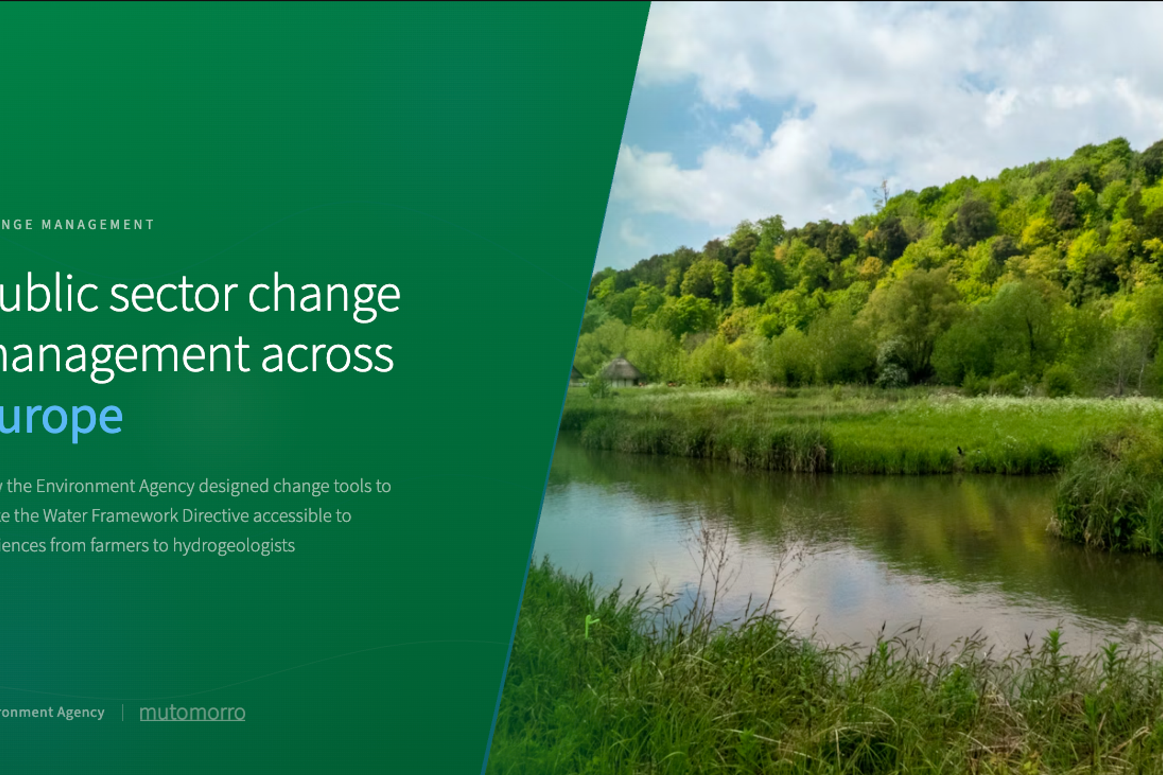 Public Sector Change Management