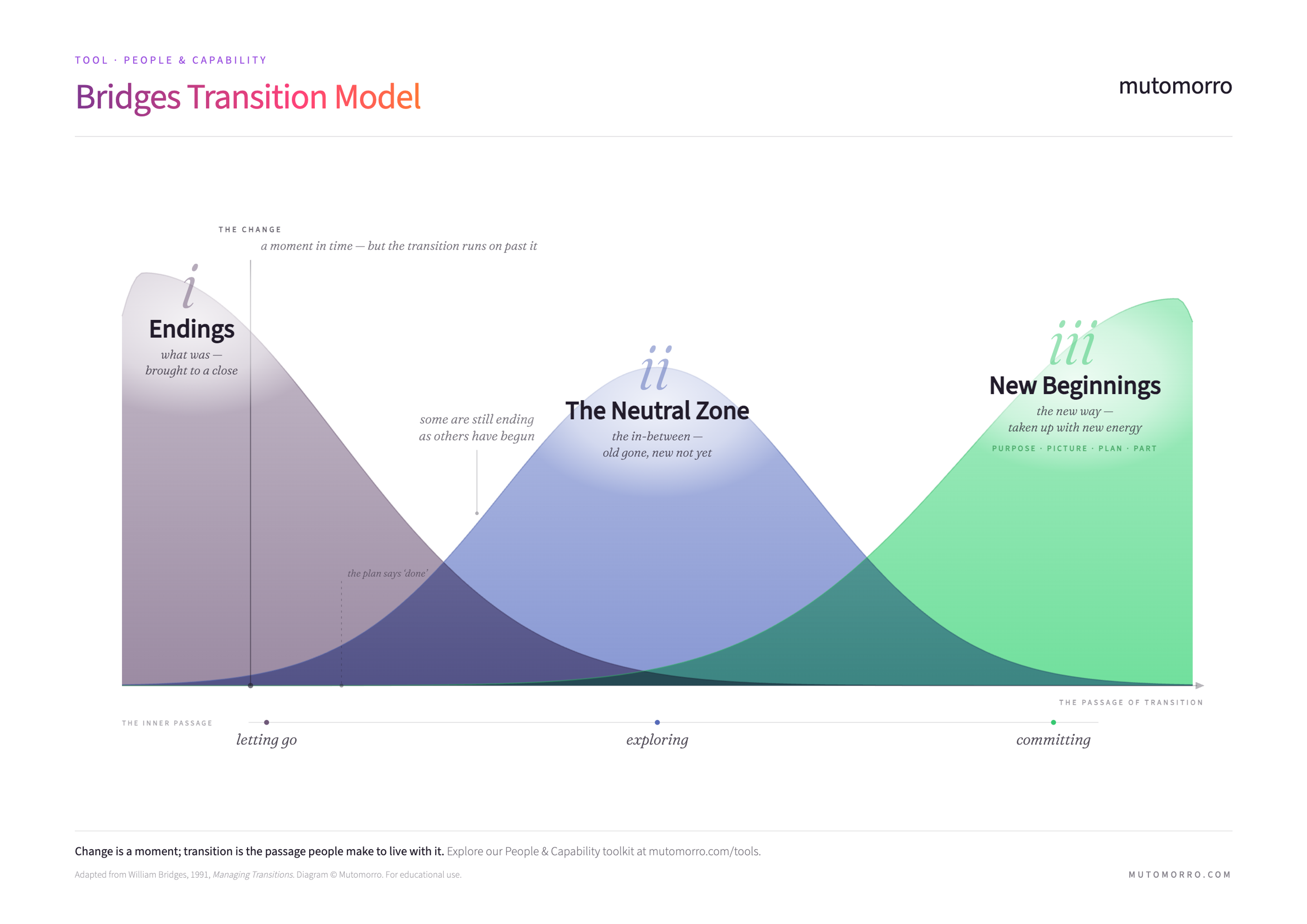 Bridges Transition Model