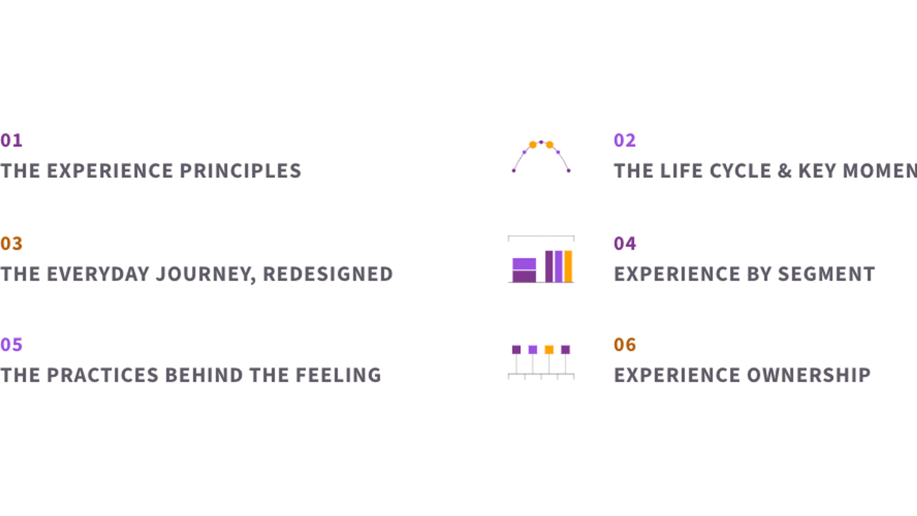 The six elements of employee experience design: the experience principles, the life cycle and its moments that matter, the everyday journey redesigned, experience by segment, the practices behind the feeling, and experience ownership.