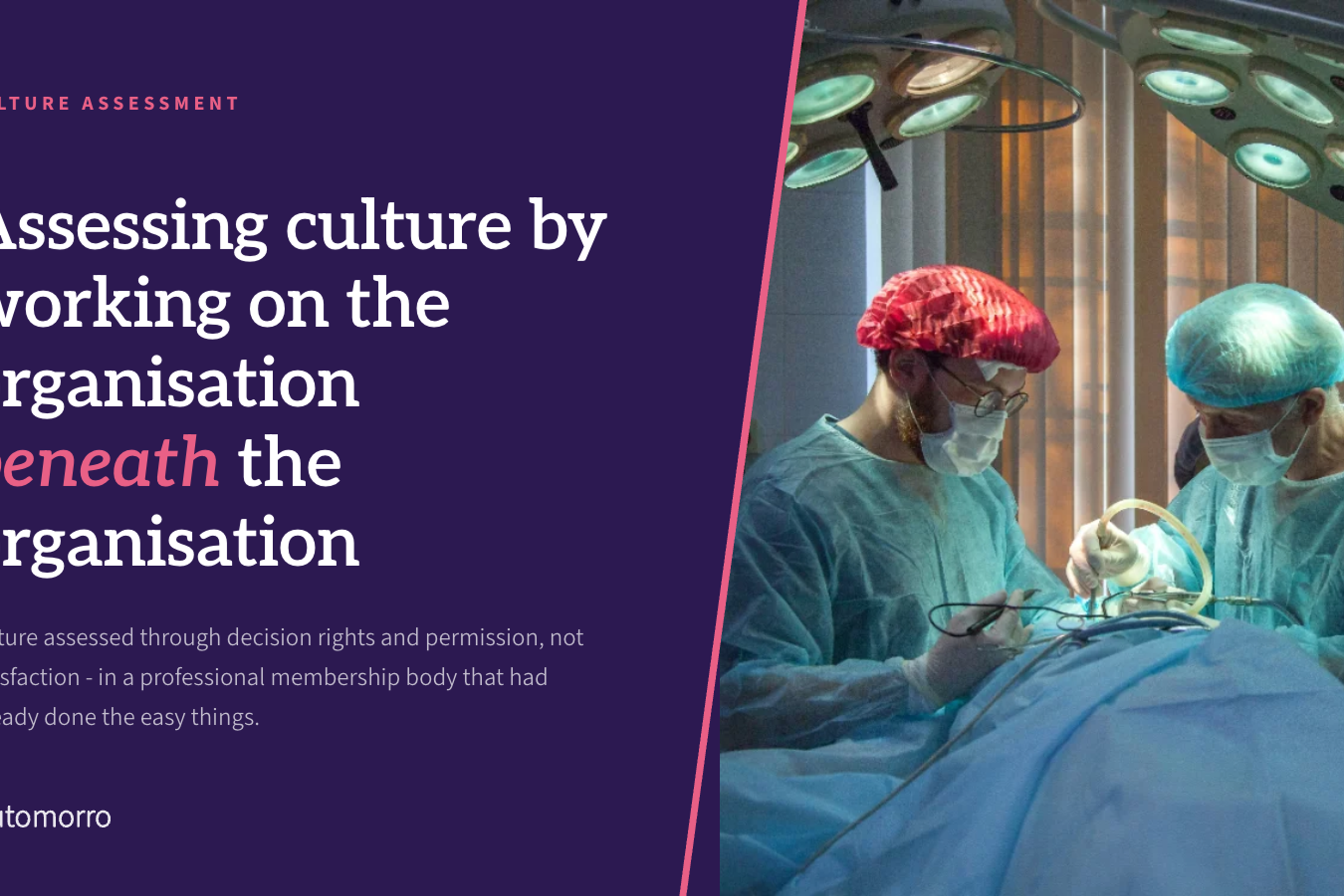 Culture assessment in a professional membership body