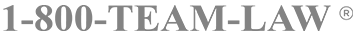 Team Law Logo