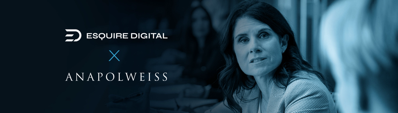 Company logos flank a "x" above "ANAPOLWEISS" left of a woman in a meeting, all in blue tones.