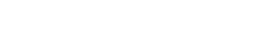 CSS Logo