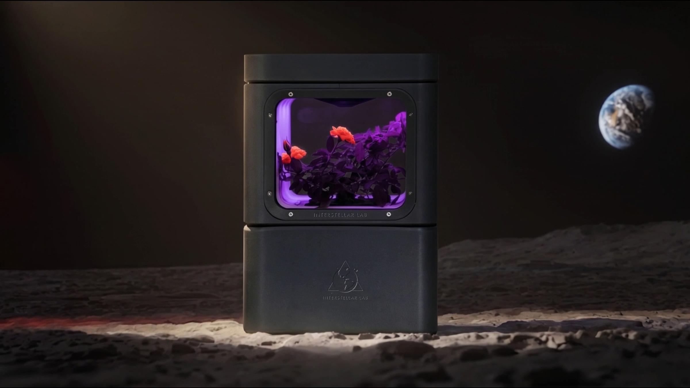 Bloom On the Moon