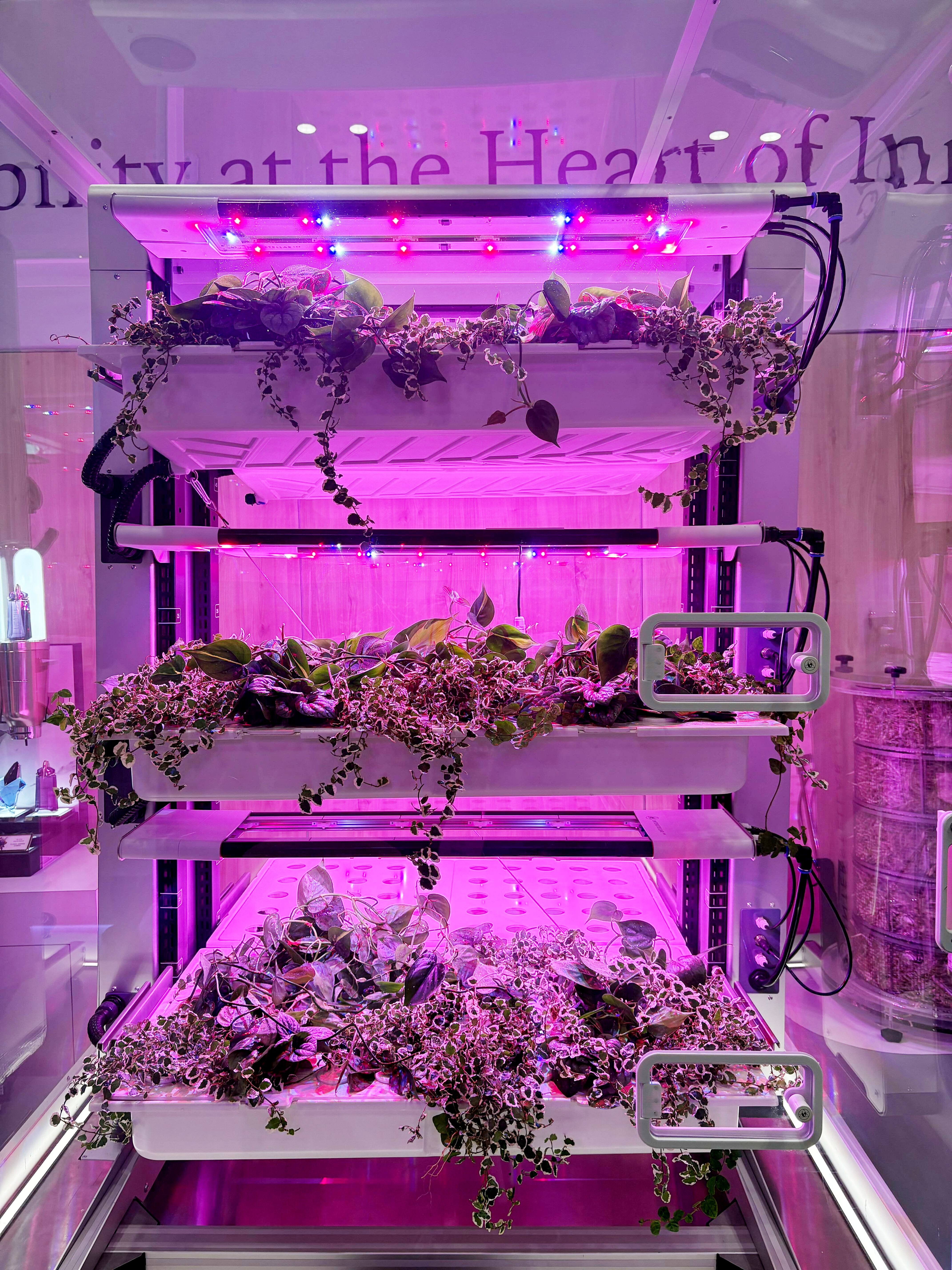 Front view of SIRIUS at the L'OREAL booth during Climate Week NYC