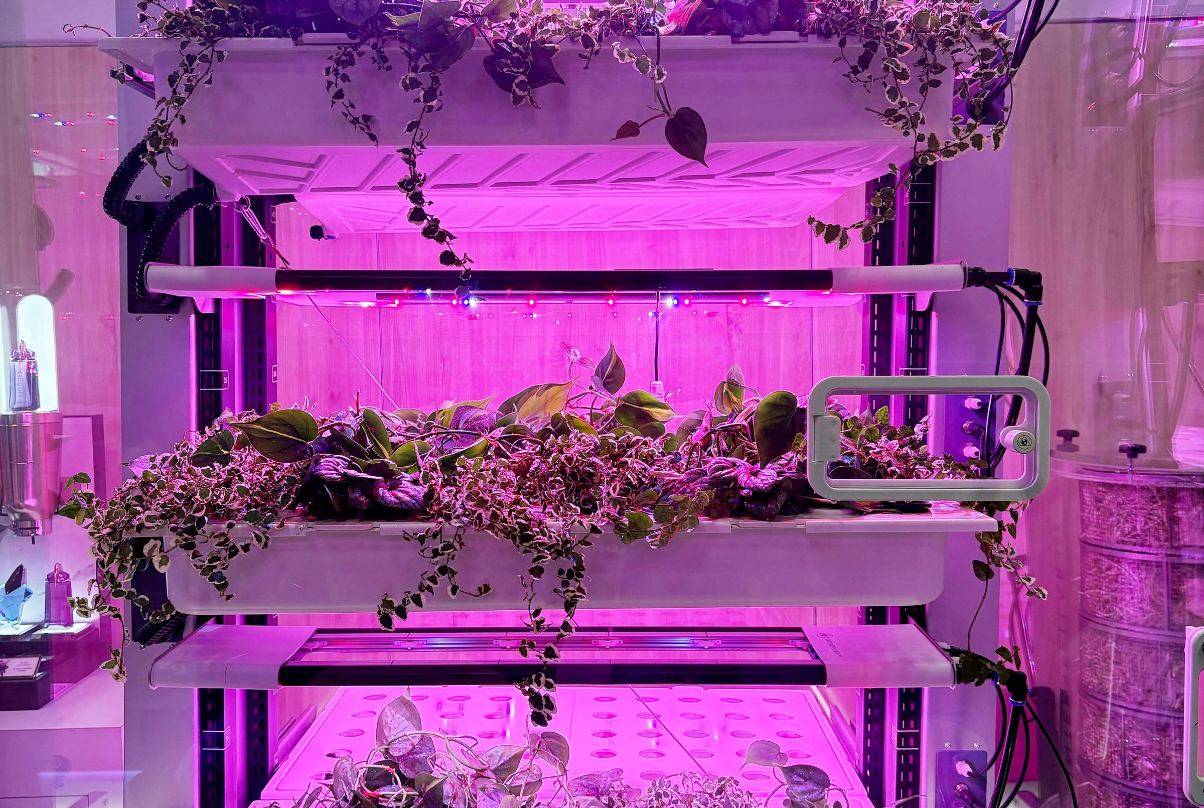 Front view of SIRIUS at the L'OREAL booth during Climate Week NYC