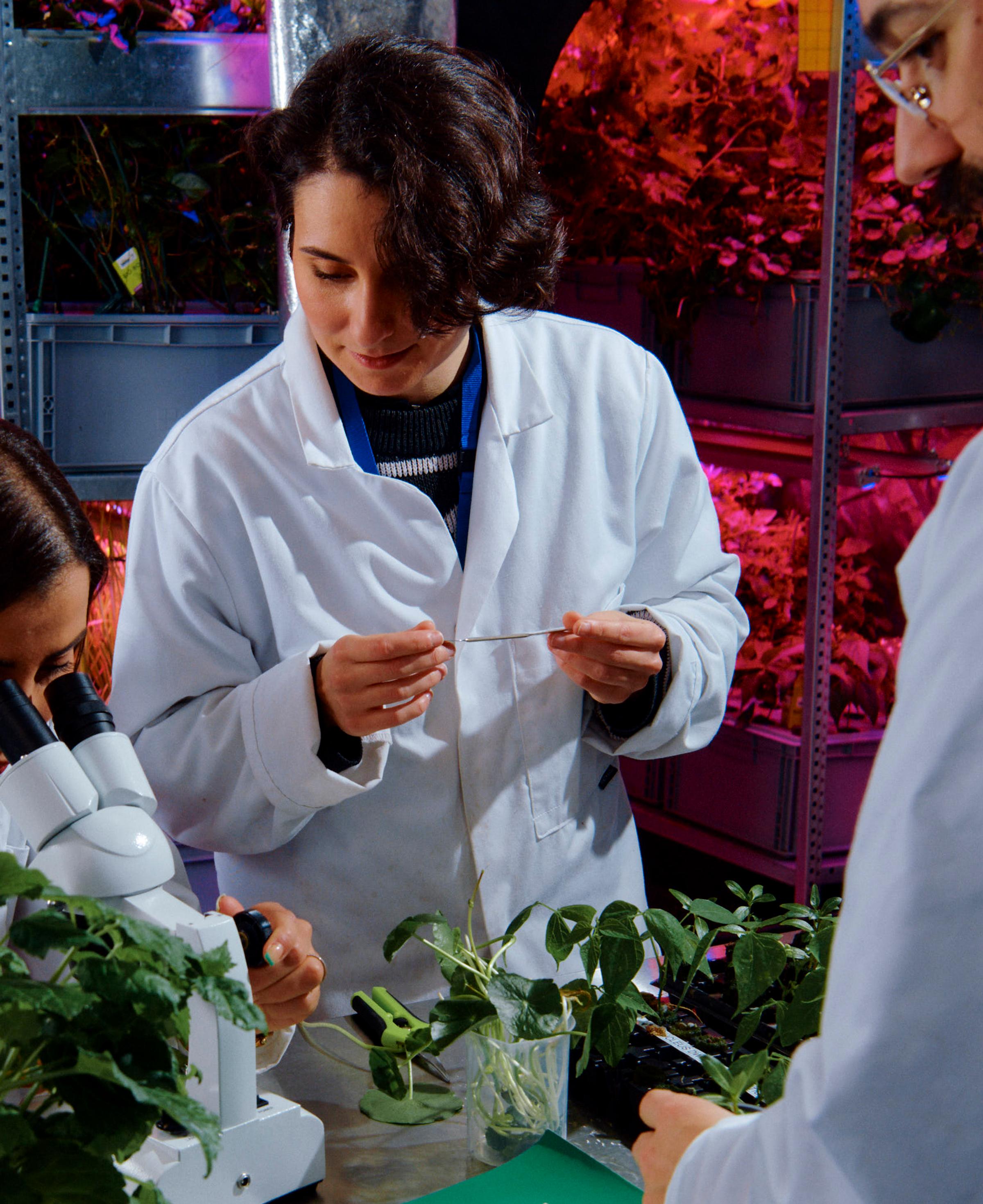 Microscope inspection in the plant lab