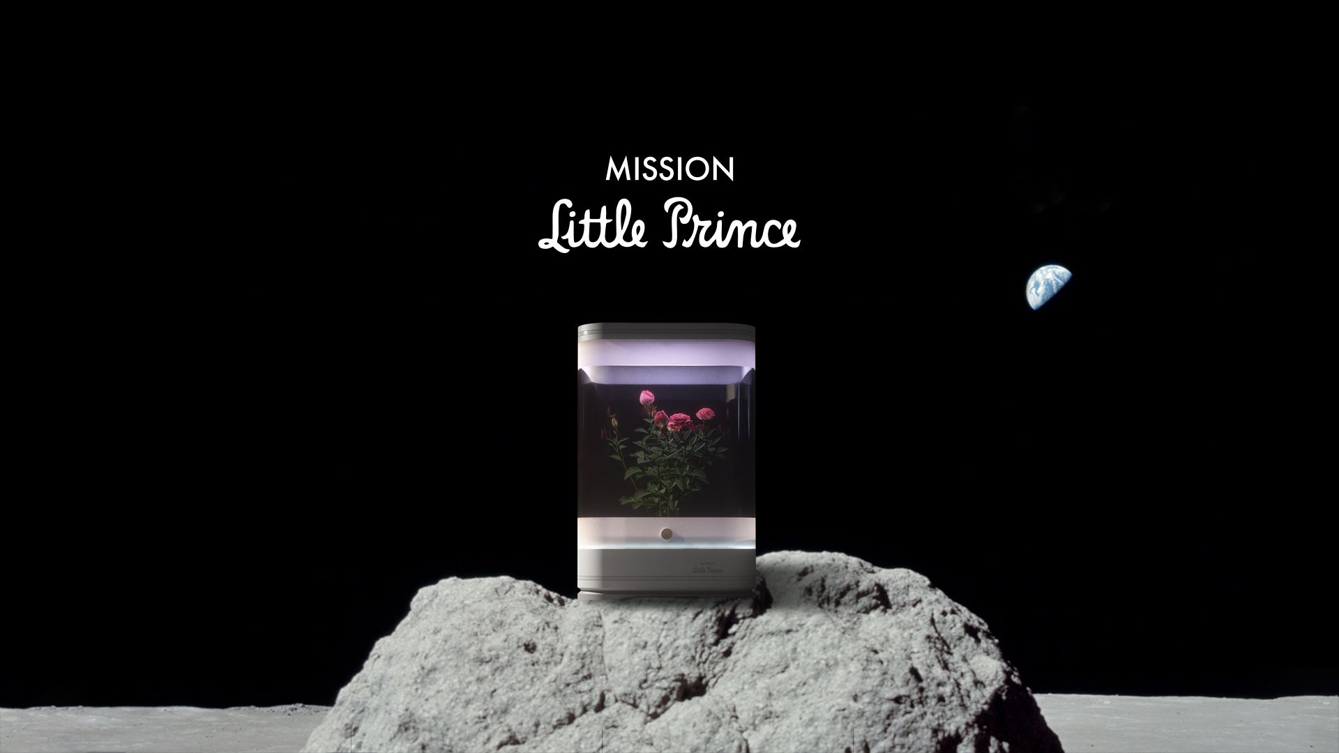 Mission Little Prince