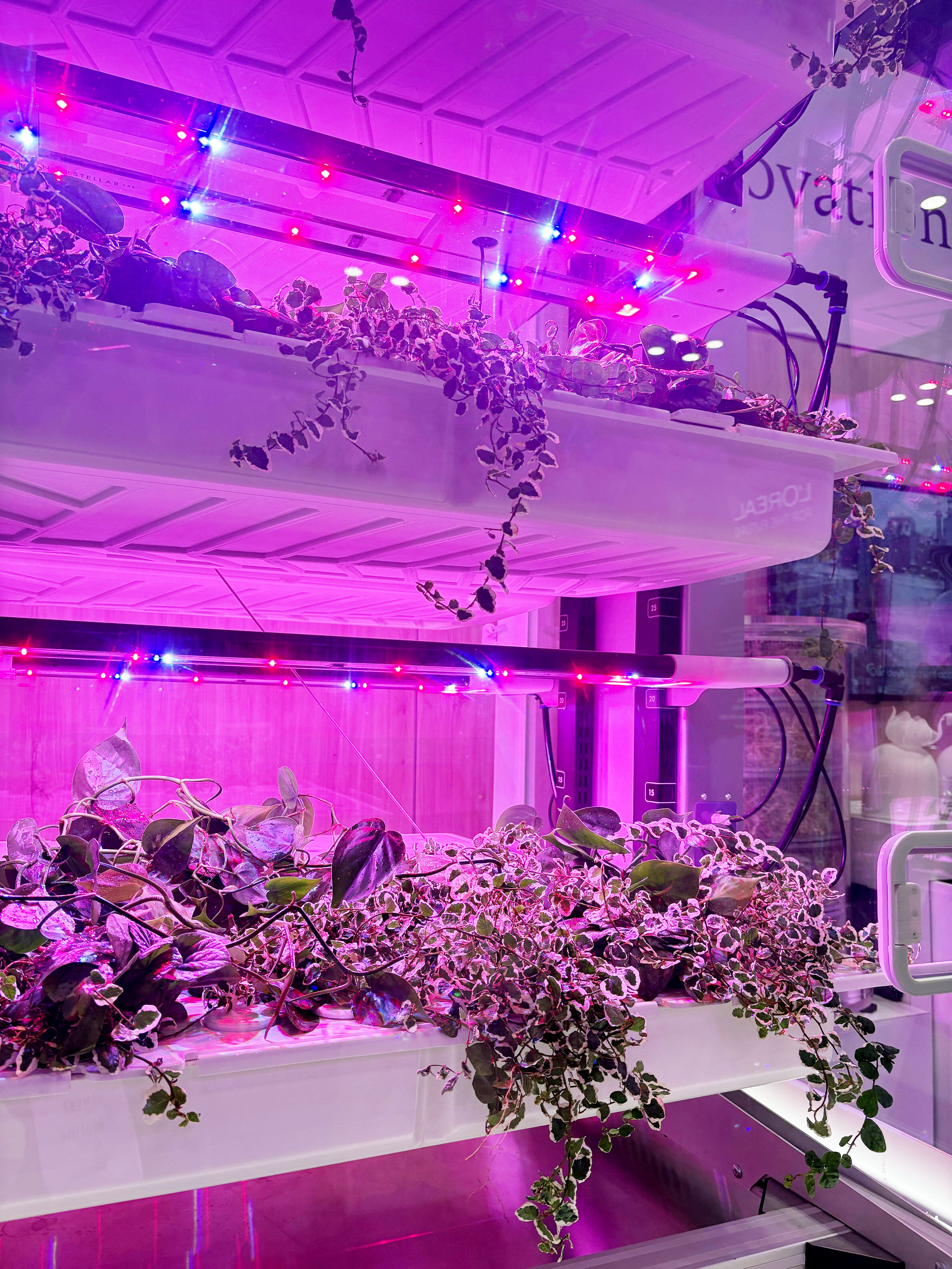 Close-up on SIRIUS at the L'OREAL booth during Climate Week NYC