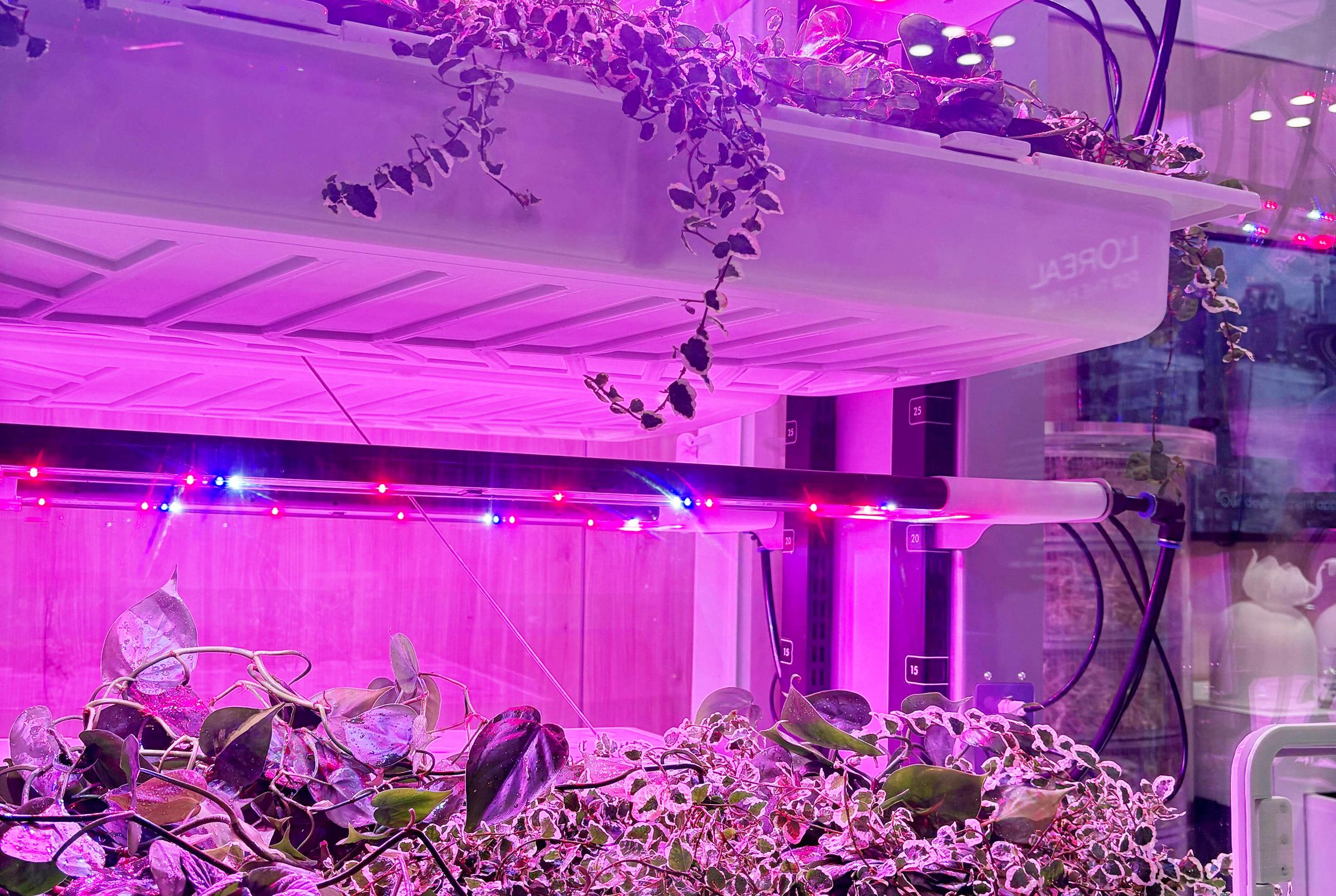 Close-up on SIRIUS at the L'OREAL booth during Climate Week NYC