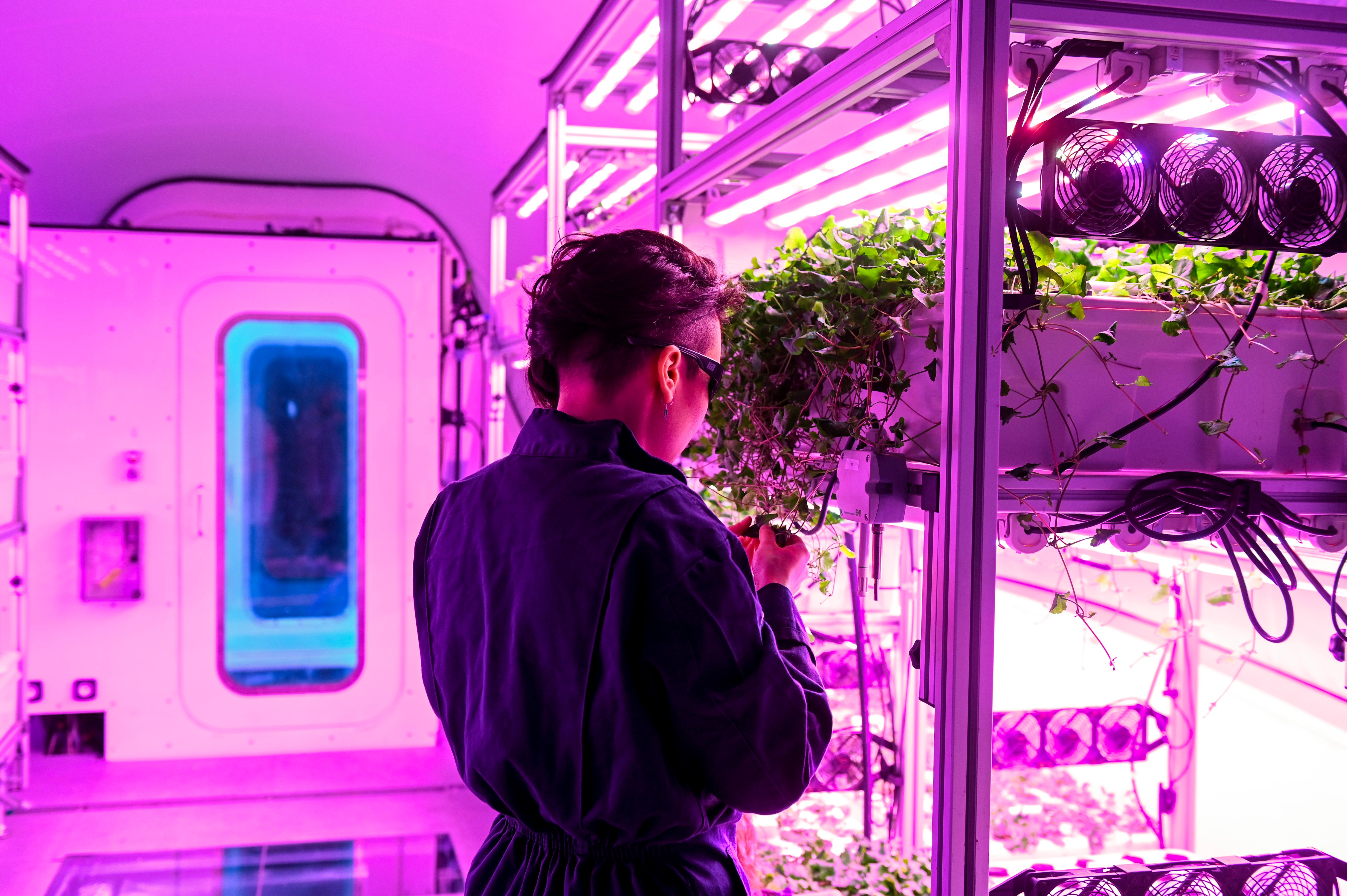 Phenicia inside Model One