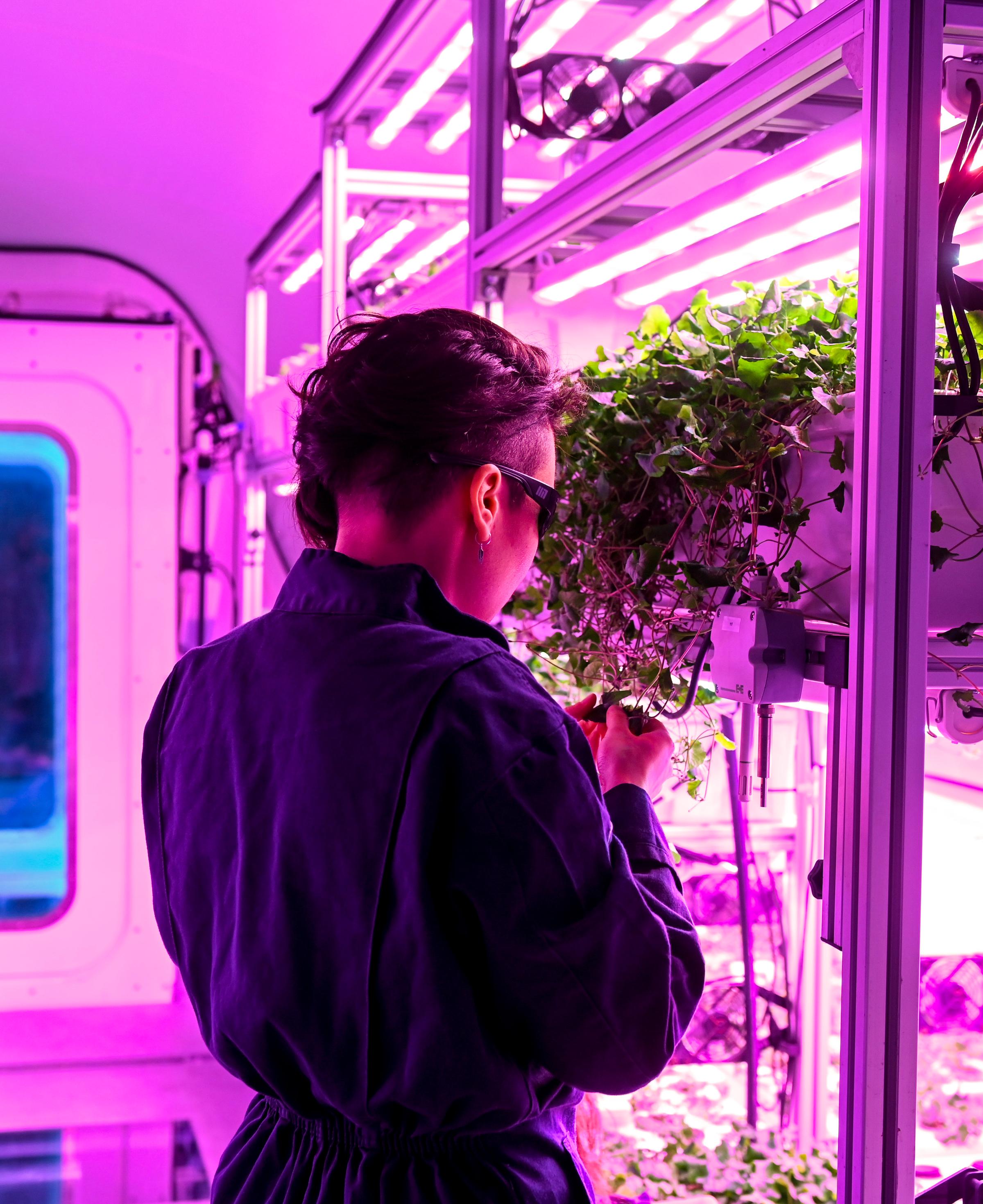 Phenicia inside Model One