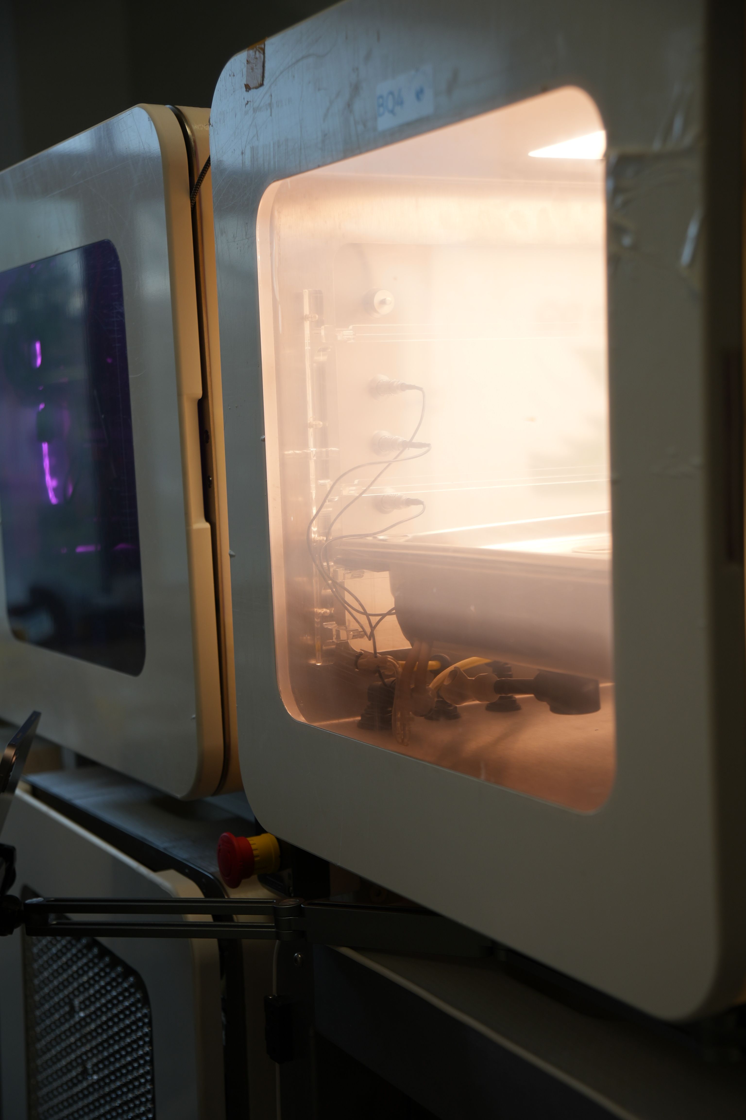 Testing biospheric conditions in bioquark.