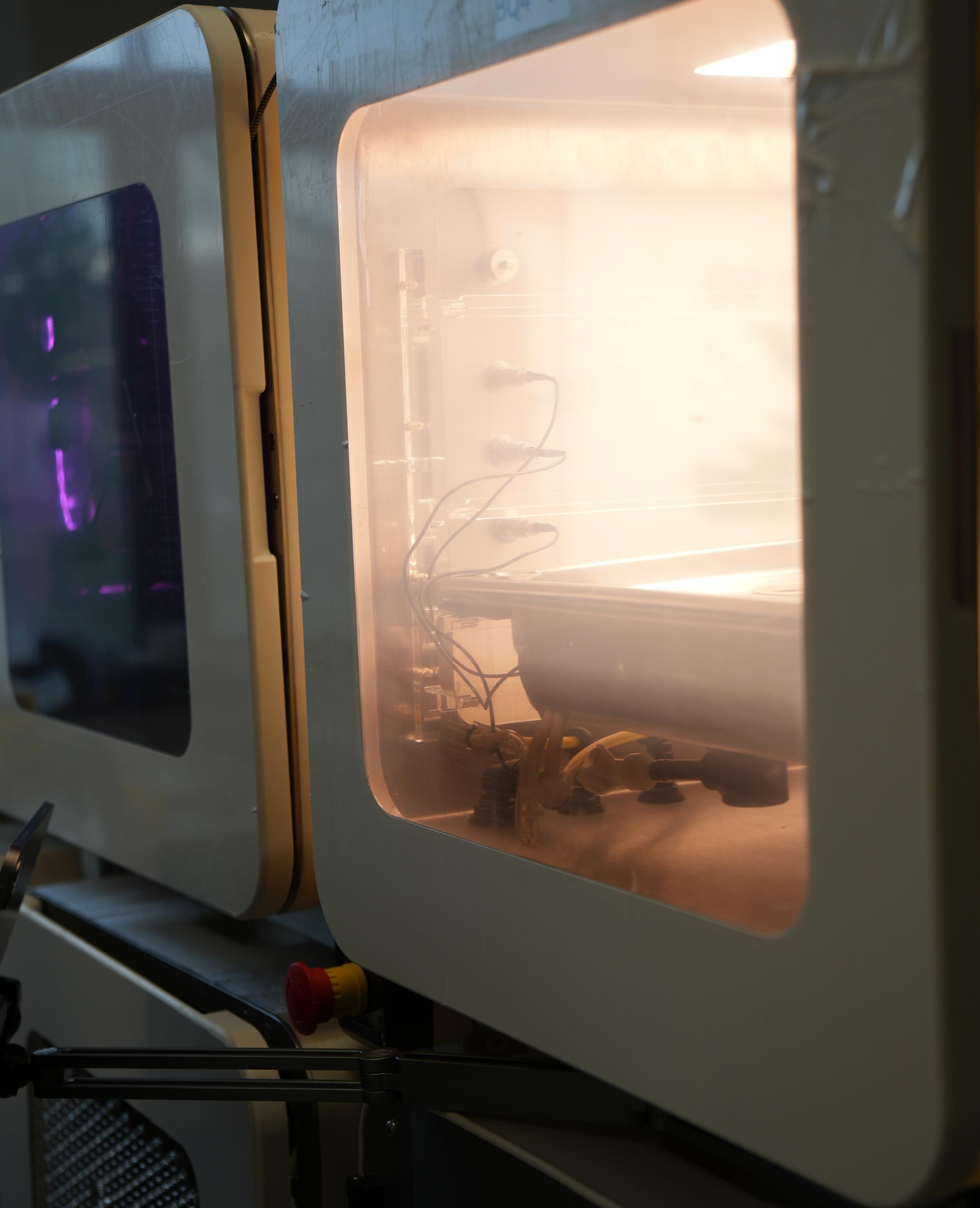 Testing biospheric conditions in bioquark.