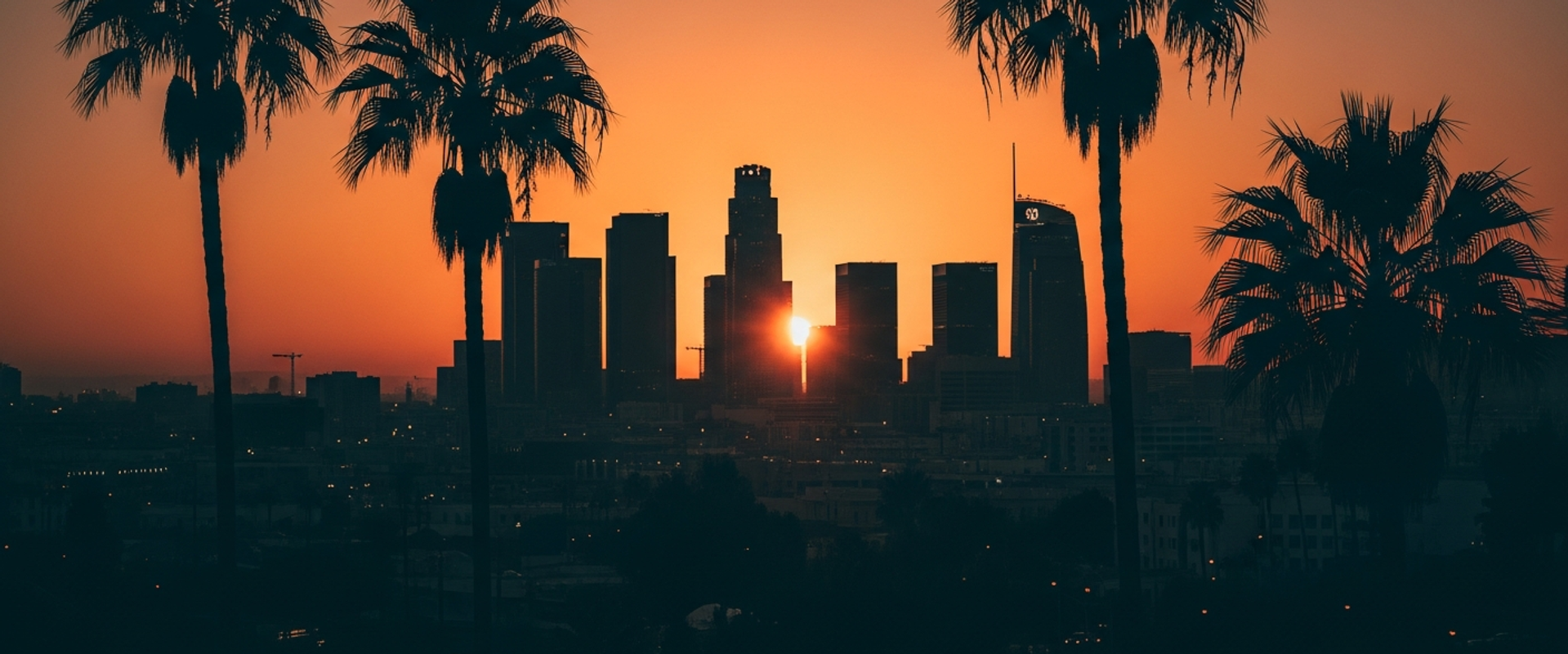 Social Media Management in Los Angeles - California skyline