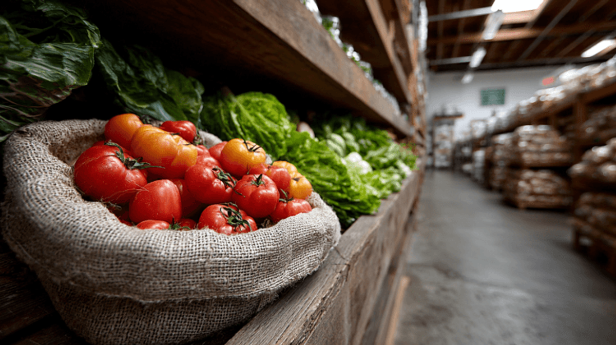 Fresh tomatoes and lettuce on wooden shelves