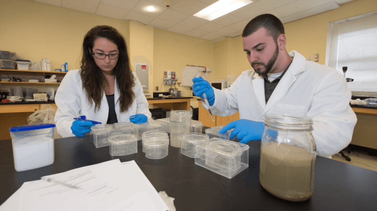 Researchers conducting experiments in laboratory