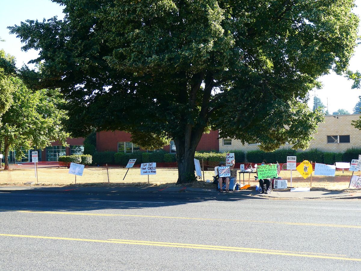Picket signs and a few people under a large tree on the grass verge across the road from a factory, on a sunny day
