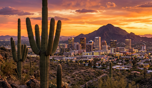 Phoenix Arizona skyline at sunset with saguaro cacti