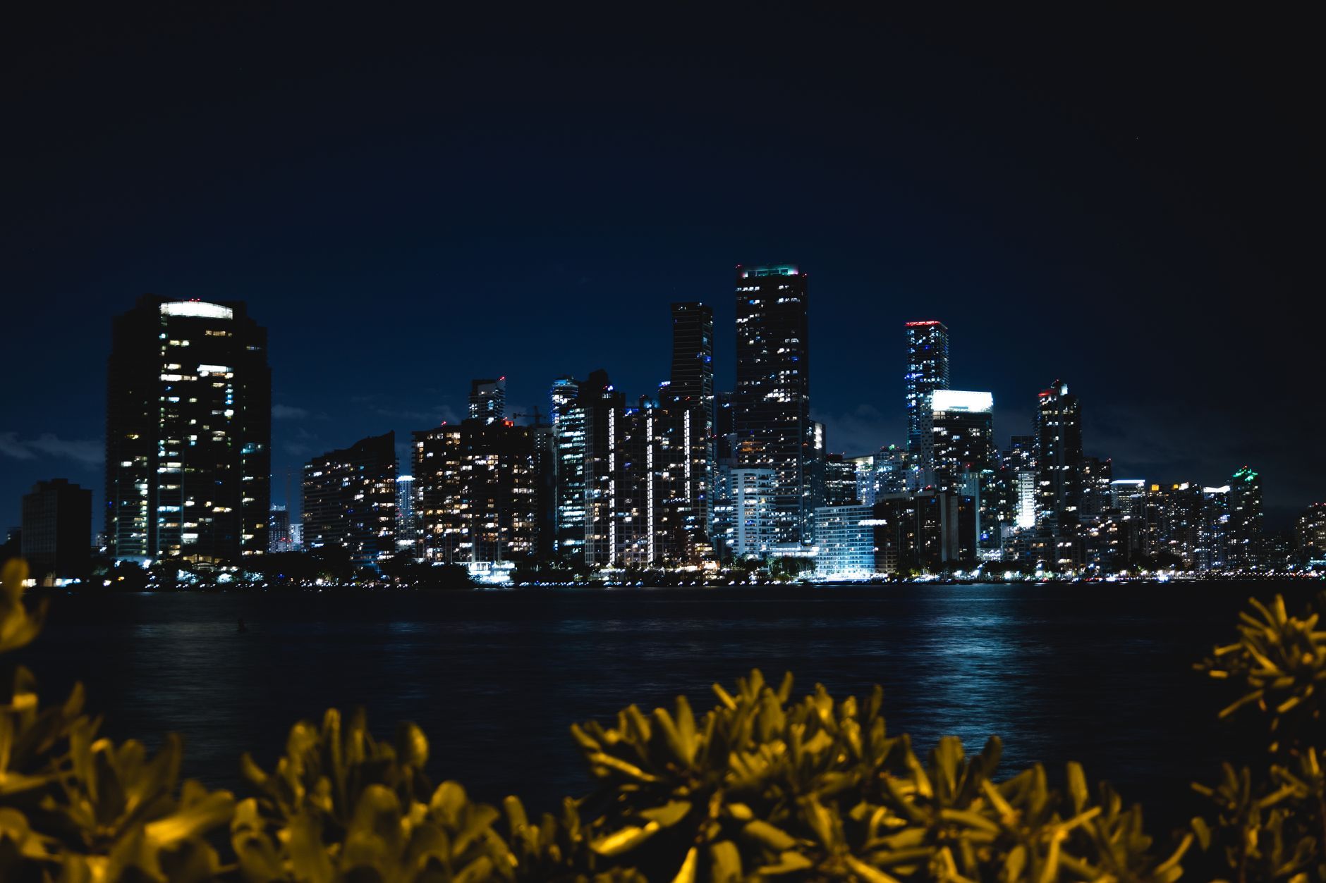 Miami, Florida skyline — Personal Branding in Miami
