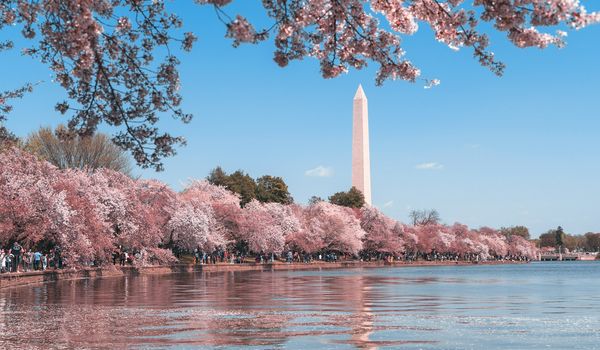 Washington DC Capitol building at sunset