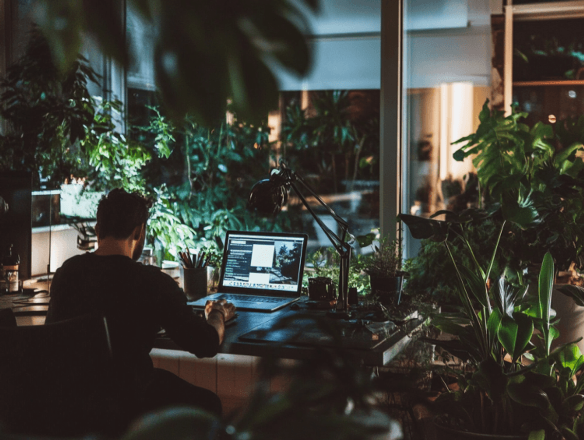 Person working at desk surrounded by plants.