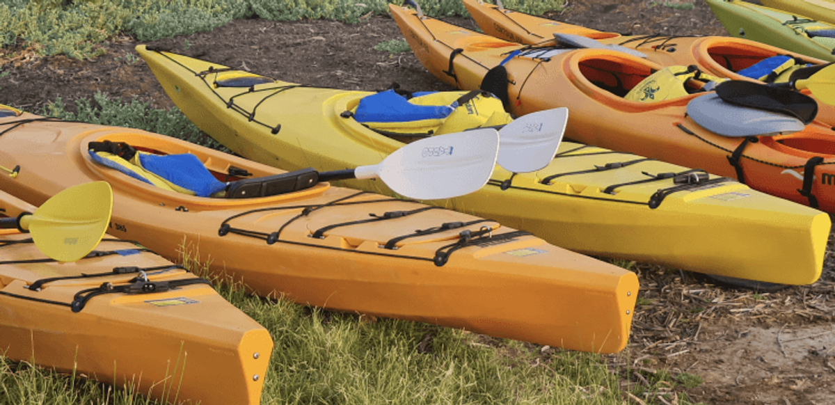 Illustration for Lake Havasu Water Sports Combine Desert Beauty With Aquatic Fun