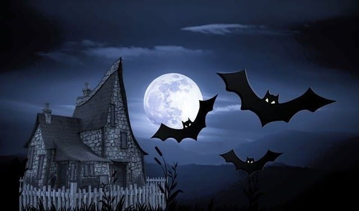 halloween, case, haunted, halloween party themes, party ideas, glow in the dark, glow in the dark, encourage guests, halloween bash
