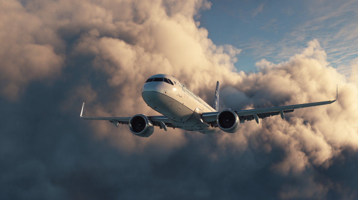 Supporting image for Airline Loyalty Programs at the Intersection of Data, Trust, and Experience
