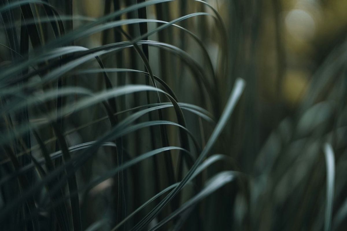 pr agency, pr firm, market research, press release