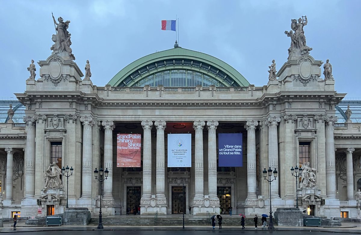 The stone front of the Grand Palais in Paris at dusk, with a green glass dome, columns, statues on the corner pavilions, a French flag on top and three exhibition banners between the columns
