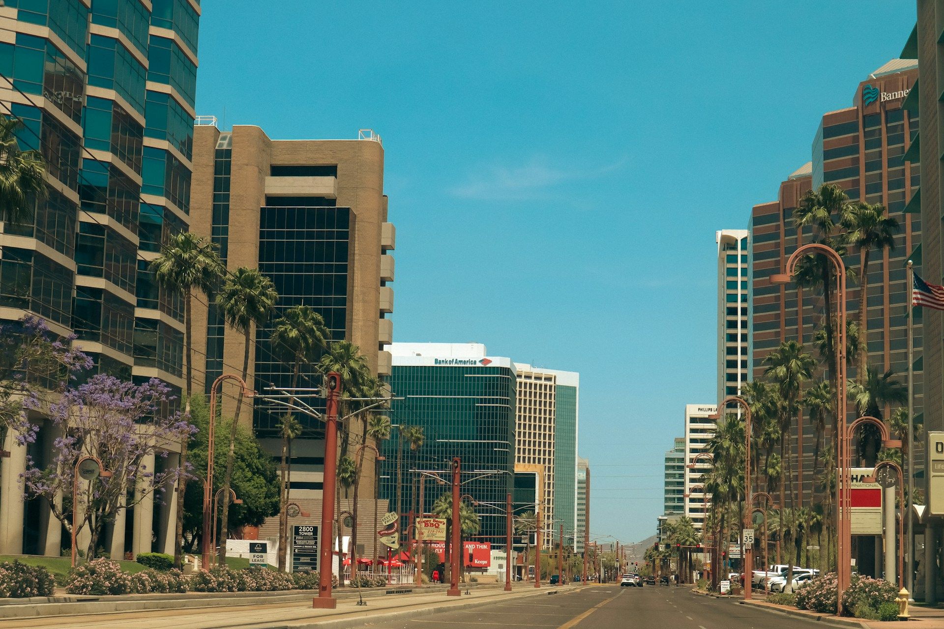 A palm-lined street in downtown Phoenix — music promotion in Phoenix