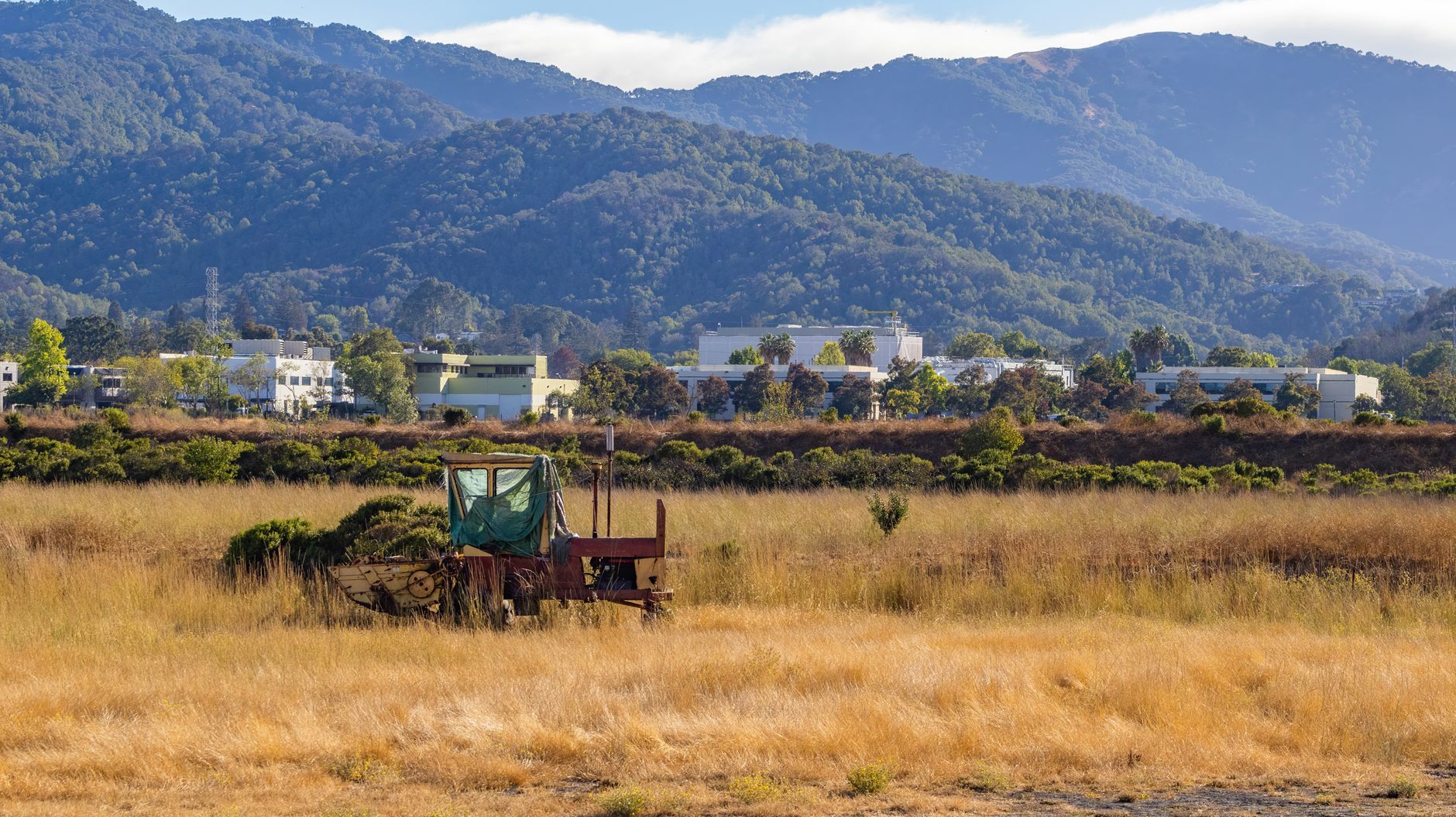 Palo Alto, California skyline — Content Marketing in Palo Alto