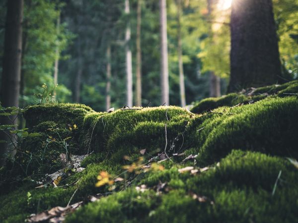 Press briefing and government relations event in Washington DC