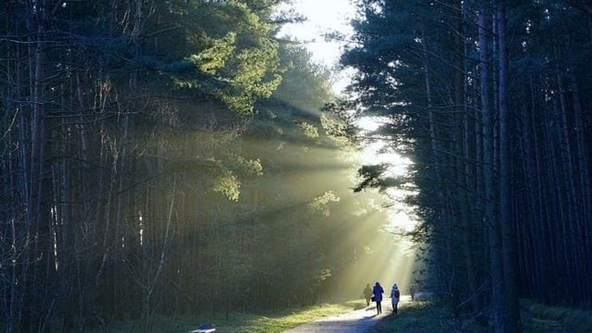 Crafting Public Relations