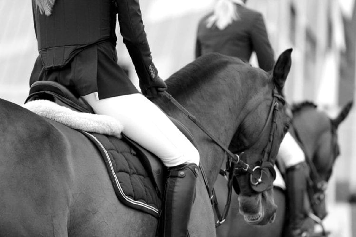 Equestrians riding horses in competition.
