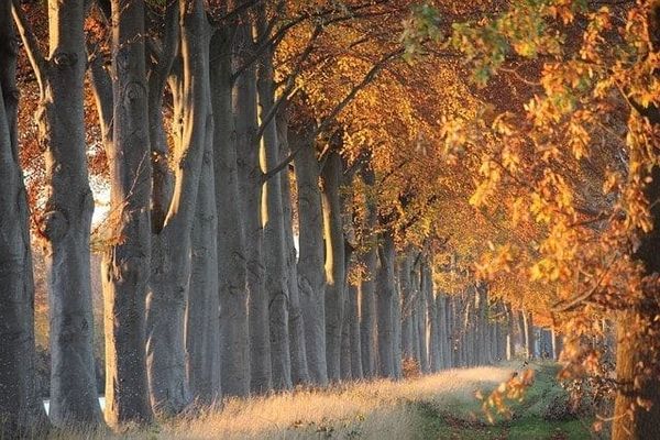 Myth Building Authentic