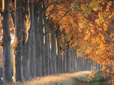 Myth Building Authentic