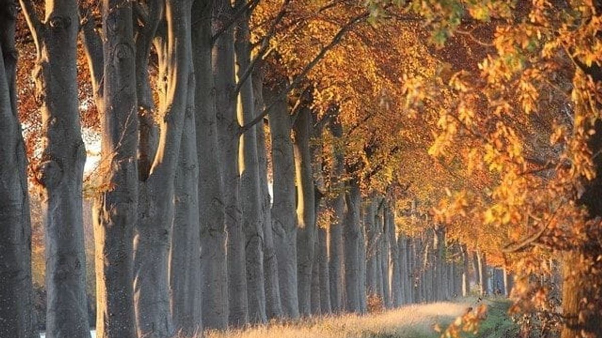 Myth Building Authentic